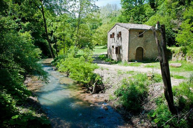 Cittadella 13 Romantic House Pitigliano Dış mekan fotoğraf